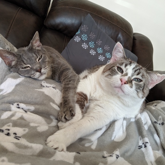 Meet Angie & Suki! - Picture 5 of 12